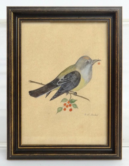 Watercolor on paper Arkansas Kingbird