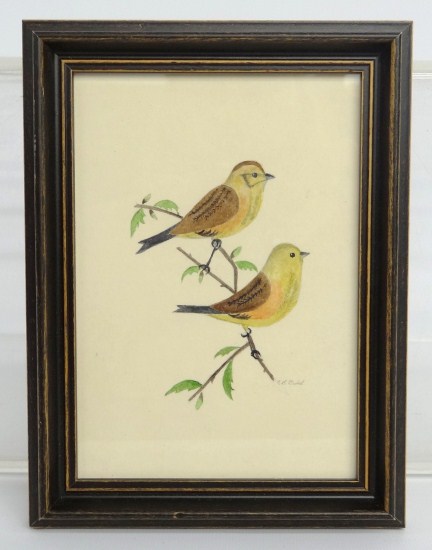 Watercolor on paper Warblers  165c7e