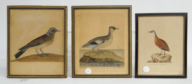 Lot three early bird prints ''The