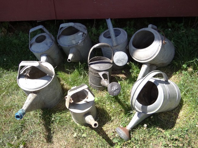 Lot eight metal watering cans  165e77