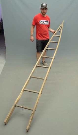 Apple picking ladder. 12' Length.