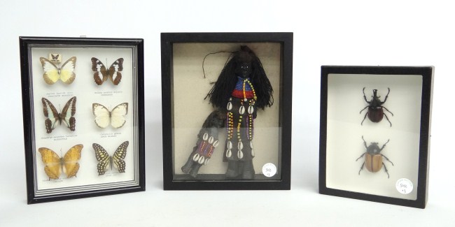 Lot including framed insects and 166045
