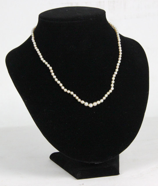 A single-strand pearl necklace