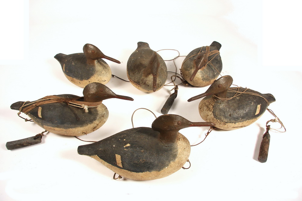  6 DUCK DECOYS Six ca 1890 Merganser 16515c