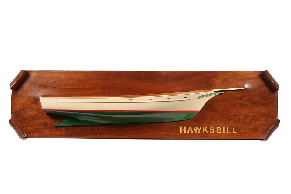 HALF HULL Hawksbill in full 165196