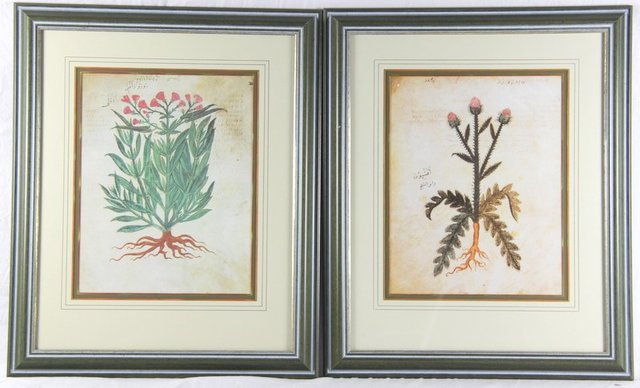 A pair of botanical prints of iris and