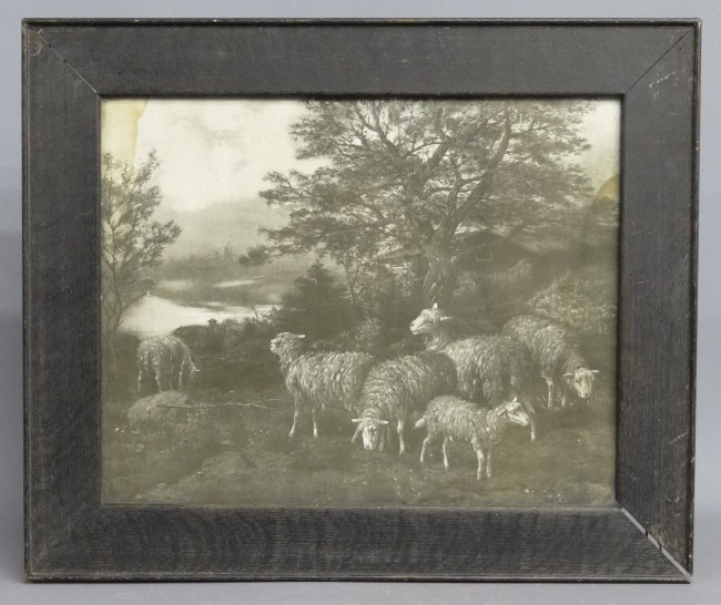 19th c. sheep print in oak frame.