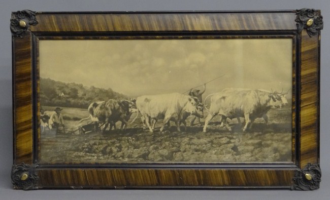 19th c print oxen after Rosa Bonheur  167f04