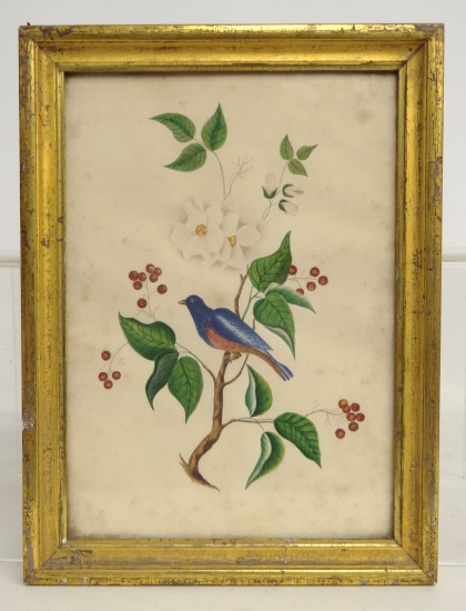 19th c watercolor bird on branch 1681ef