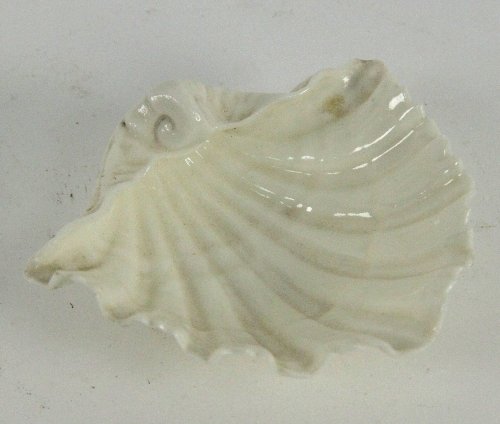 A scallop shell on three feet 8.25cm