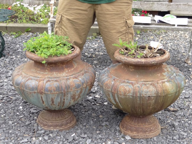 Pair cast iron urns. 20'' Ht.