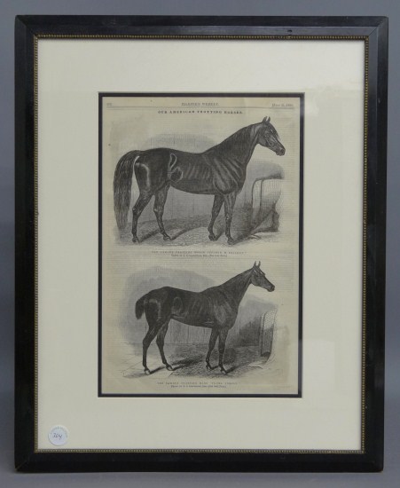 19th c framed Harpers Weekly horse 167d9b
