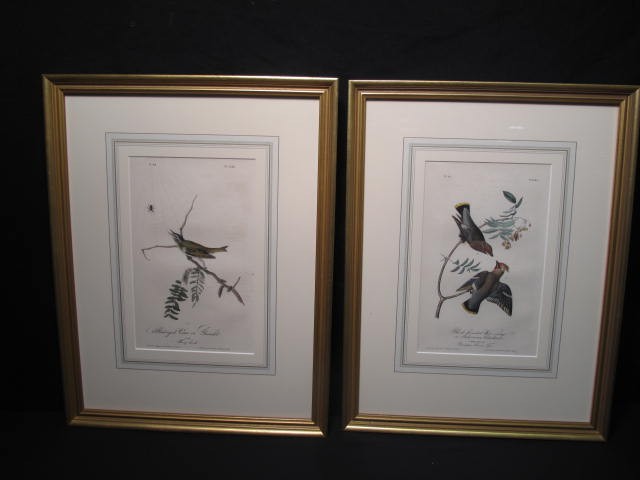 Two framed Audubon hand colored 16b9a2