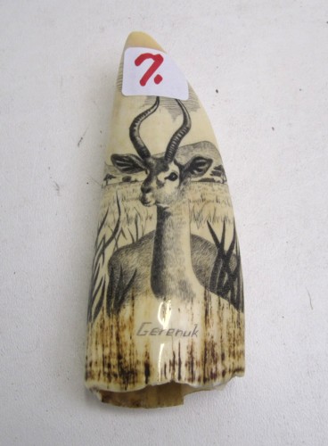 AN IVORY WHALE S TOOTH scrimshawed 16dac2