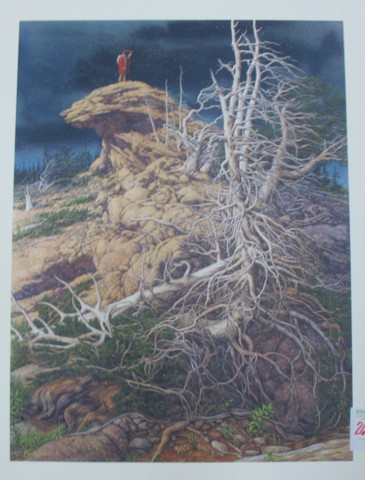 BEVERLY BEV DOOLITTLE COLOR LITHOGRAPH 16df00