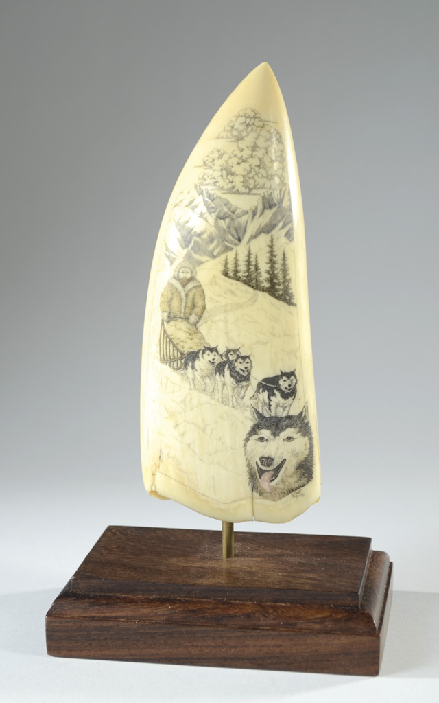 WHALE'S IVORY TOOTH scrimshawed