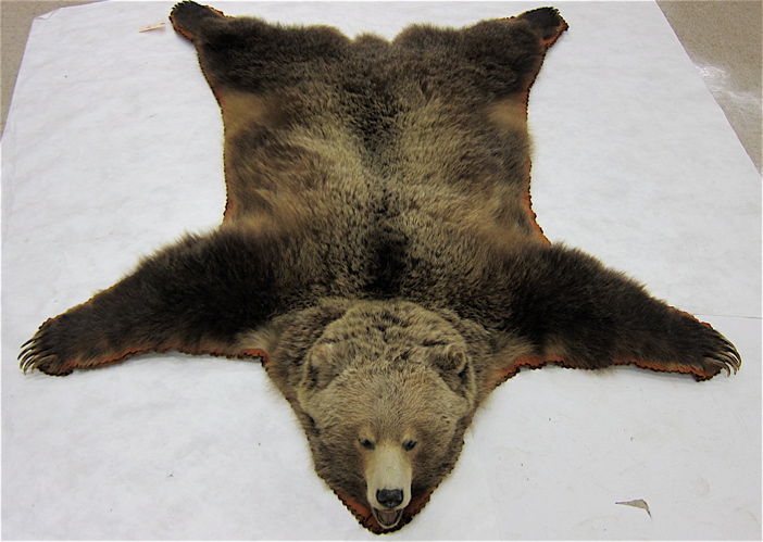 BROWN BEAR FLOOR RUG having a double