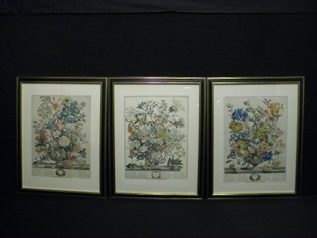 Three Robert Furber hand-colored