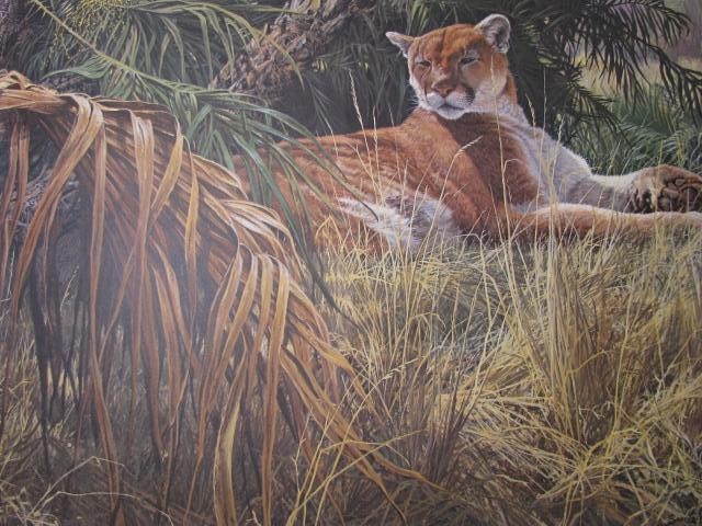 Assorted unframed wildlife lithographs