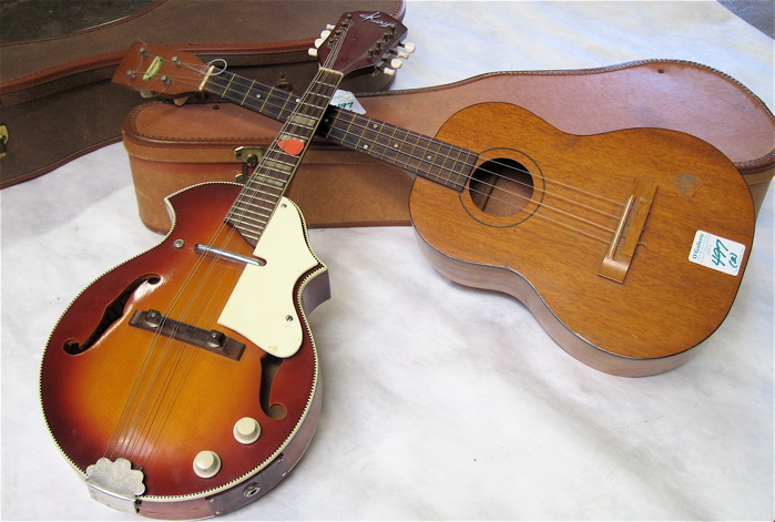 TWO STRINGED MUSICAL INSTRUMENTS: a