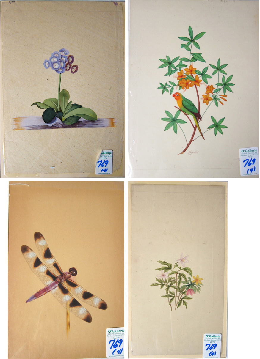 FOUR WATERCOLORS ON PAPER NATURE STUDIES: