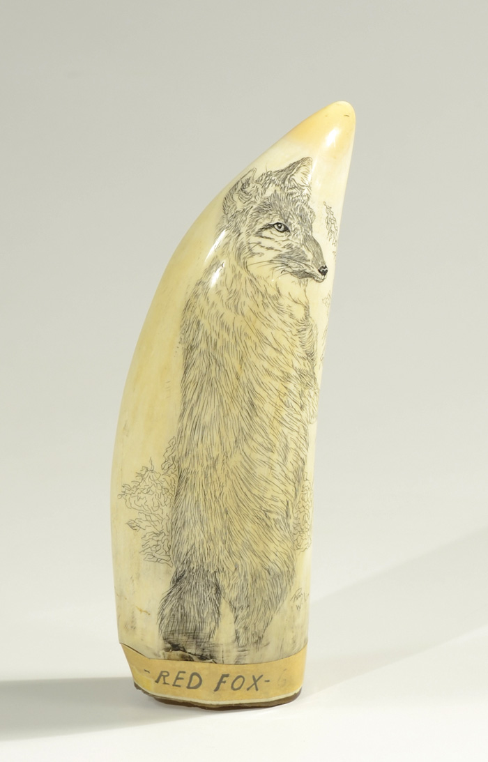 AN IVORY LARGE WHALE'S TOOTH scrimshawed