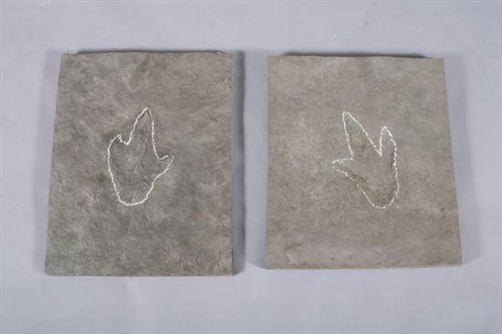 TWO DINOSAUR TRACKS. Grallator