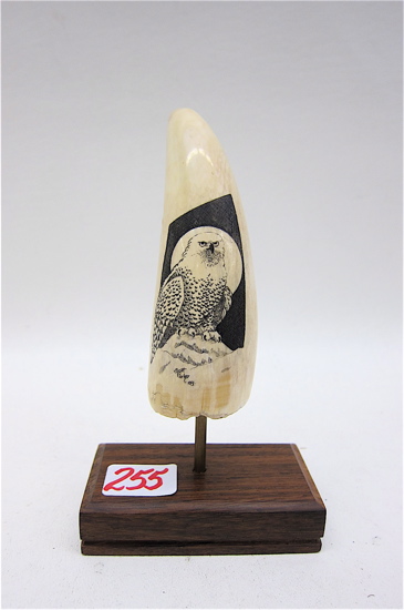 IVORY WHALES TOOTH scrimshawed with