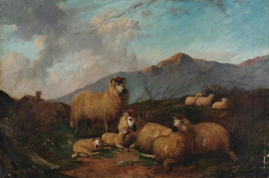 IRISH SCHOOL 19th century SHEEP 16e8b4