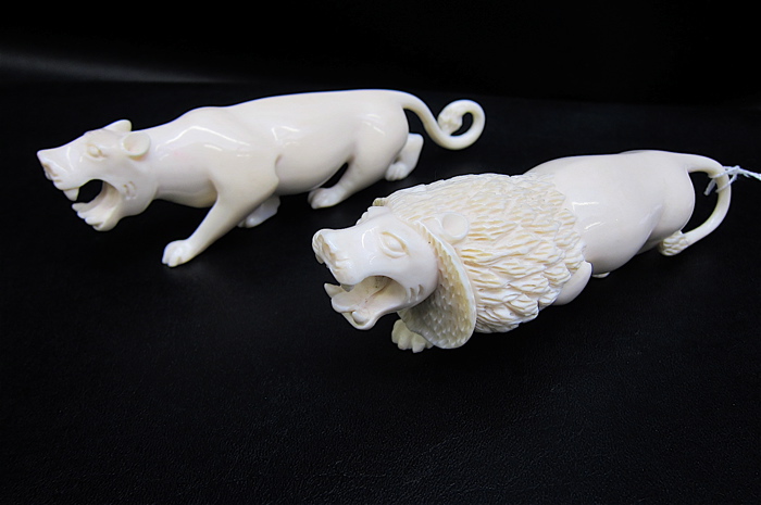 TWO AFRICAN CARVED IVORY LIONS: a full