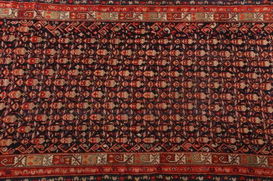 MALAYER RUG. - 4 ft. 9 in. x. 9 ft.