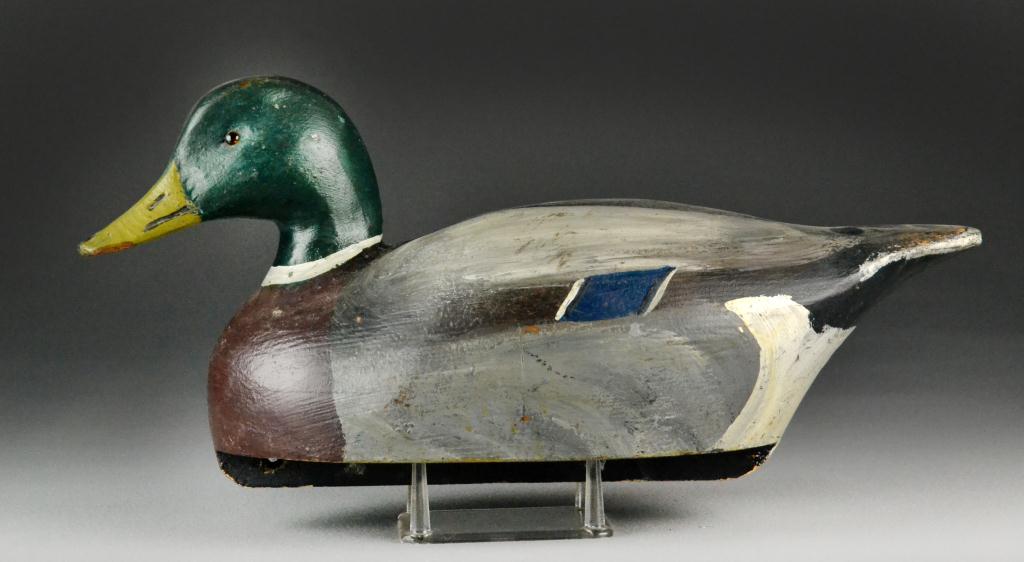 Mallard Drake Duck Decoy William 17240c