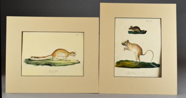 Pr. Antique French Hand Colored Lithographs