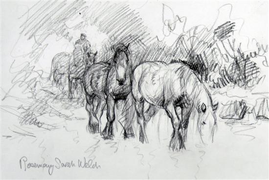 Rosemary Sarah Welch pencil Ponies 172bd8
