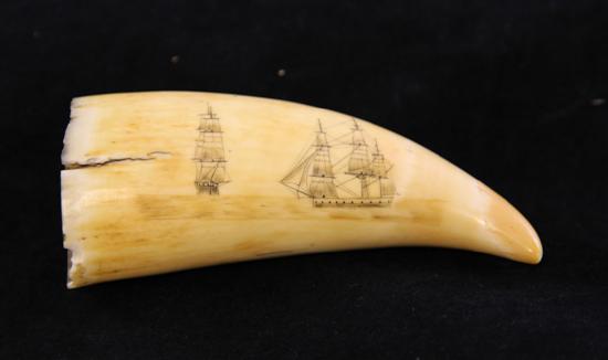 A 19th century whale tooth scrimshaw 172ffc