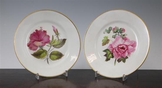 A pair of early 19th century Derby 1730cc
