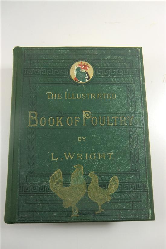 WRIGHT (L) THE ILLUSTRATED BOOK