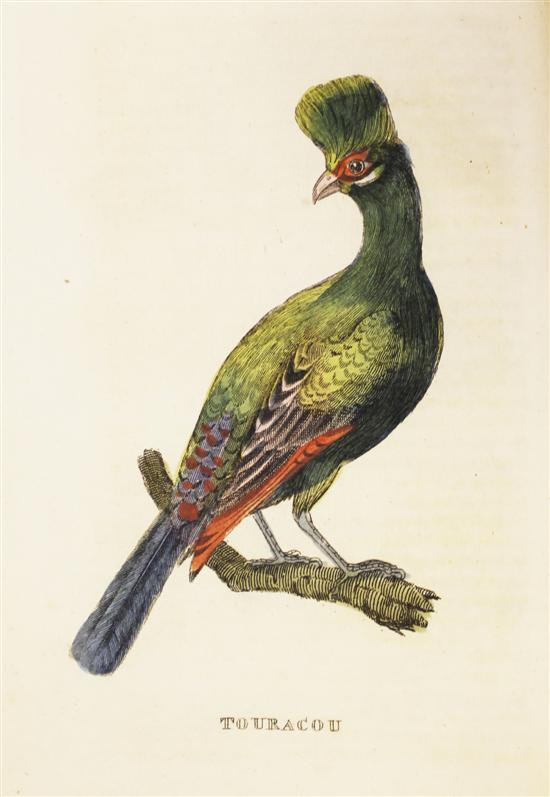 THE NATURAL HISTORY OF BIRDS two 170a9f