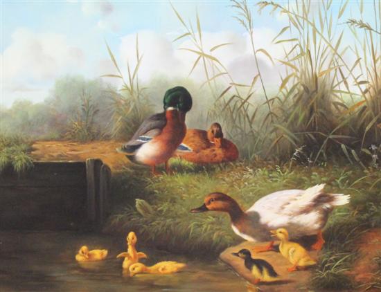 Ray Jacob oil on board Ducks and