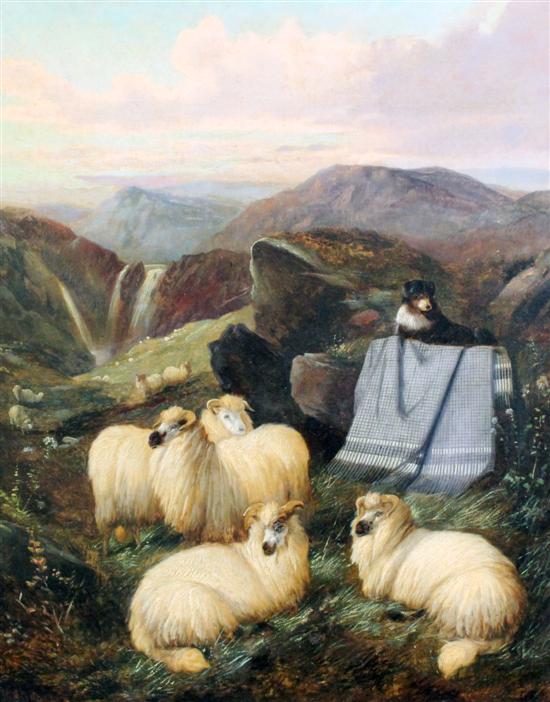 H.E. Jones (19th C.) oil on canvas Sheep
