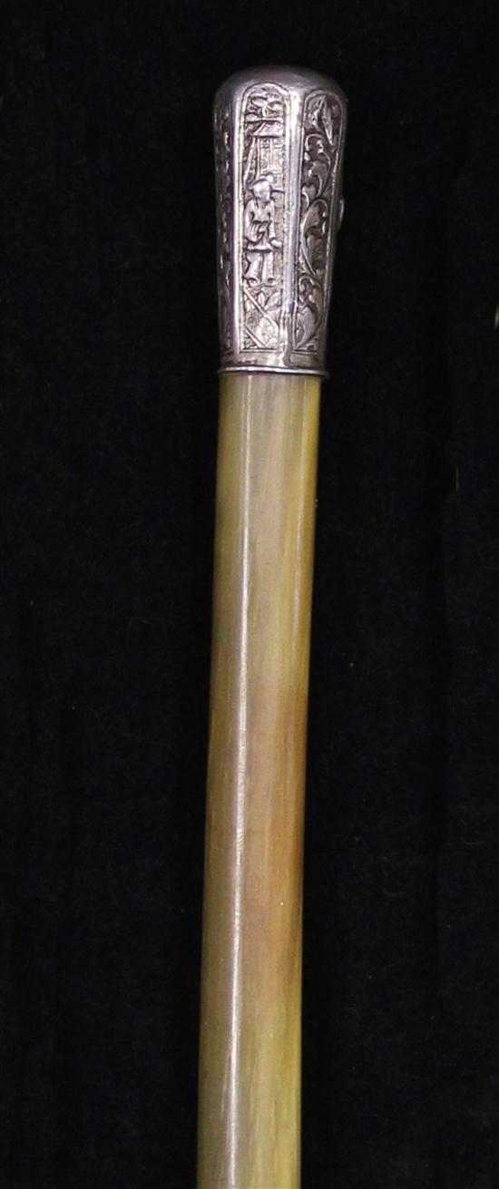 A rhinoceros horn walking stick