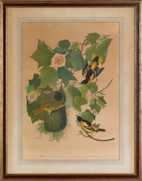 After John James Audubon Bien edition 1748ac