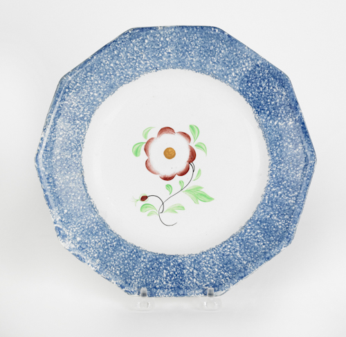 Blue spatter plate with a primrose