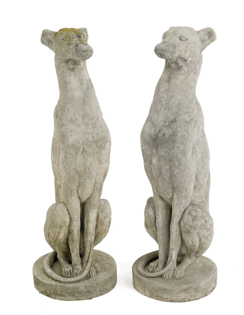 Pair of aggregate lawn whippets early