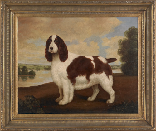 Oil on canvas portrait of a spaniel