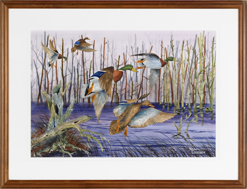 Watercolor on paper of ducks in flight