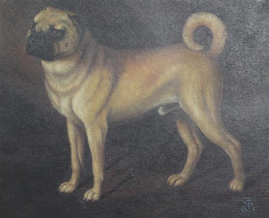 J.S. oil on canvas Portrait of a Pug