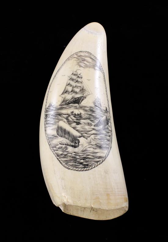 A scrimshaw sperm whale tooth decorated