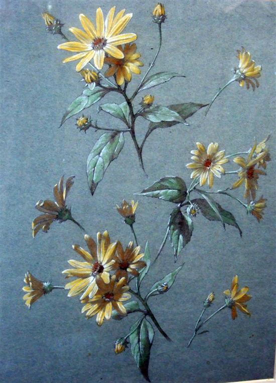 Antoine Berjon (1754-1843) pastel
