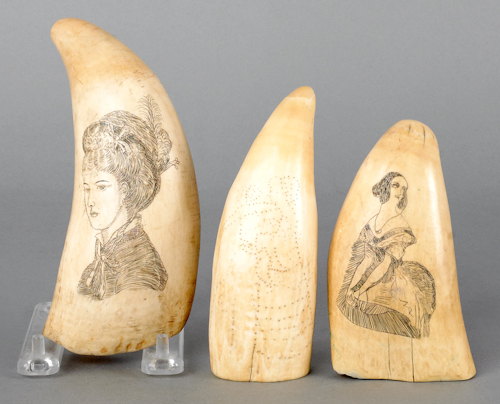 Three scrimshaw whale teeth decorated 1768e5